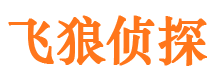 龙城外遇出轨调查取证